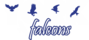 falconwear