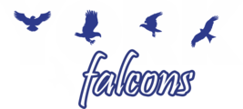 falconwear