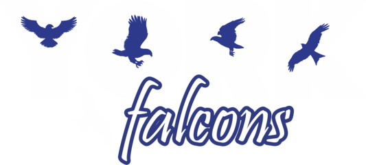 falconwear